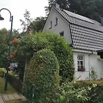 Ruegen 91 Buchenwinkel Daire *