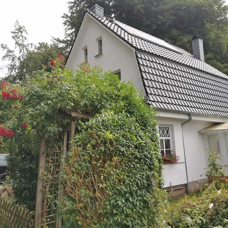 Apartment Rügen 91 Buchenwinkel Bergen Auf Rugen