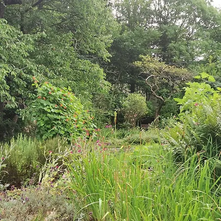 Rügen 91 Buchenwinkel * Bergen Auf Rugen