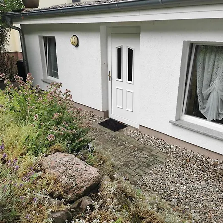 Rügen 91 Buchenwinkel Bergen Auf Rugen